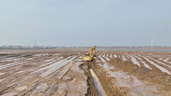 江苏东台：修复近2万亩湿地，为万千鸟儿筑<em>安乐窝</em>