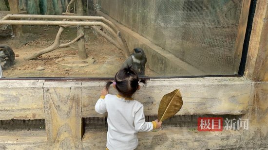 “南宁动物园没有正经动物”冲上热搜，专家揭秘幕后原因