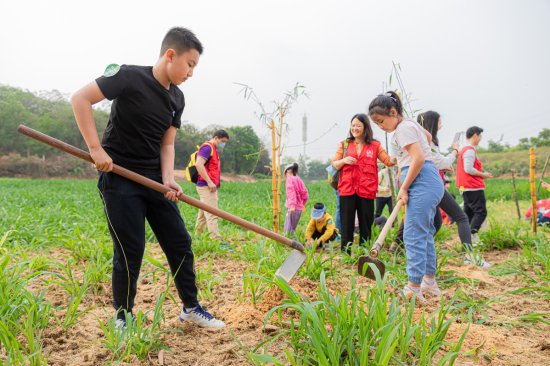 “我为熊猫种棵竹”植树节公益活动在广州举行