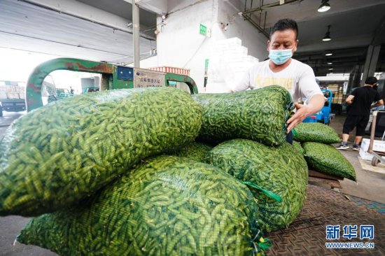 8月3日，在南京农副产品物流<em>配送中心</em>，商户在装运<em>蔬菜</em>。