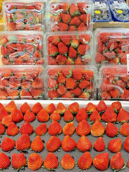 “<em>冬天</em>的第一颗<em>草莓</em>”你吃了吗？最新市场价，戳→