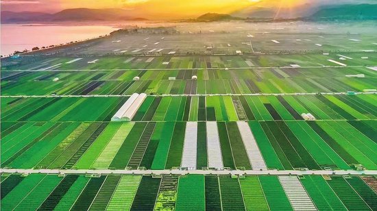 通海县推进蔬菜产业绿色发展