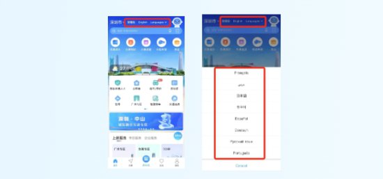 深圳线上<em>服务平台</em>多语种服务扩容，国际化营商环境再升级！