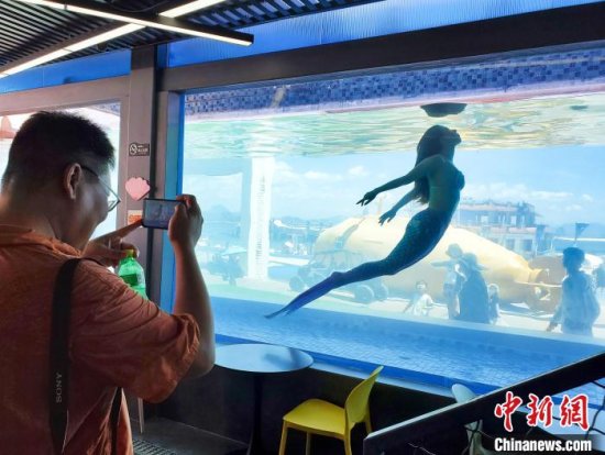 与海底生物伴游的新职业——“美人鱼”在中国悄然兴起