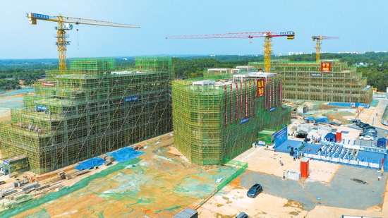 海口谭仙农产品加工产业园项目建设完成逾6成