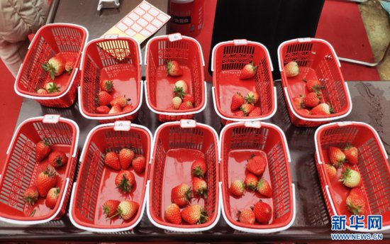 <em>草莓可以</em>放心<em>吃吗</em>？武汉农业检测中心开展常态化检测