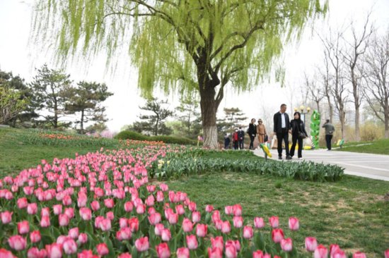 清明假期北京接待游客总量同比增长超八成