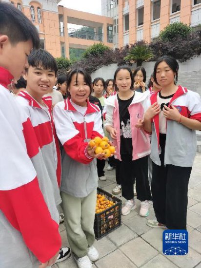 <em>学校农场</em>结硕果！云南一中学500余名师生共享“枇杷宴”