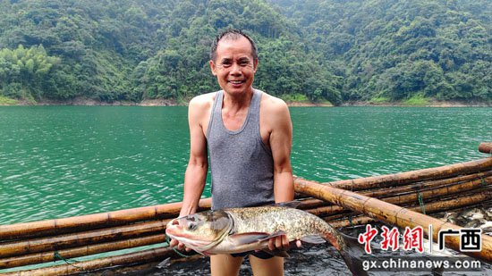 广西桂林灵川水库生态养鱼喜获丰收