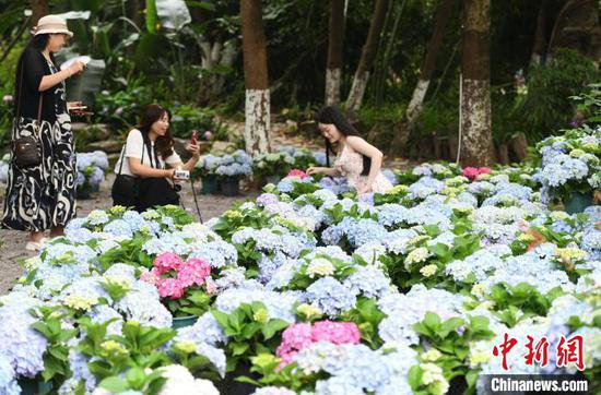 重庆无人自助鲜花集市吸引市民打卡