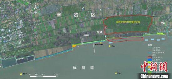 上海奉贤滨海海洋生态保护修复项目开工 修复岸线总长17.4千米
