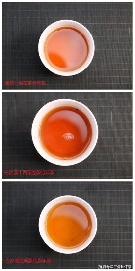 <em>黑茶</em>哪个好？16款安化<em>黑茶</em>100%自费实测！白沙溪、湘益、百...