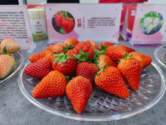 长丰<em>草莓</em>｜红润光滑 果肉芳香