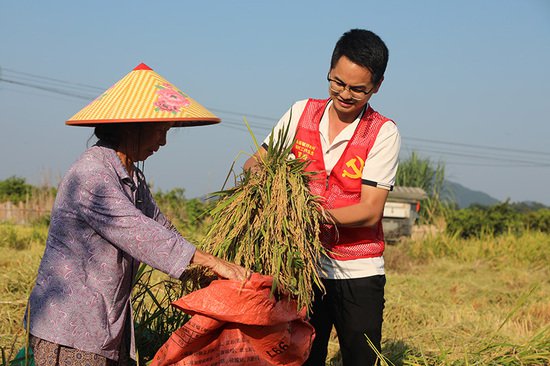 永福镇：撂荒地整治转型 村级集体经济增收有“稻”