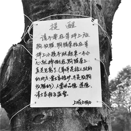 小孩子摔在狗猫屎上：<em>杭州</em>一草坪旁的提醒牌引发网友共鸣