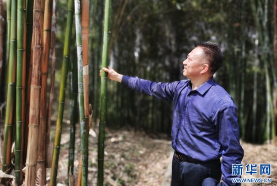 强信心·走进百企丨“七十二变”后的竹产业“拔节向上”