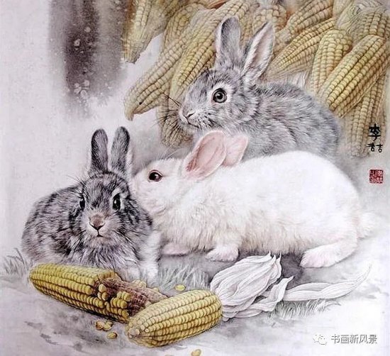 明年是兔年，提前送您一组最可爱的<em>小兔兔</em>！