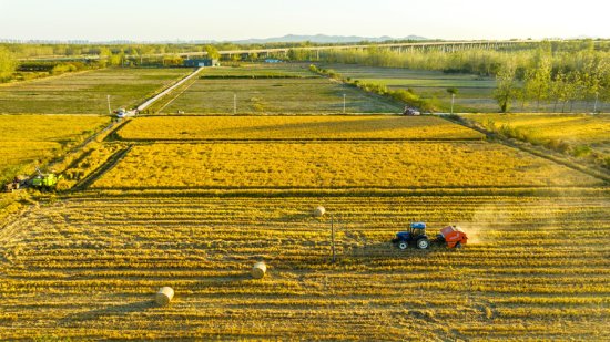 安徽滁州：机械强农 “丰”景如画