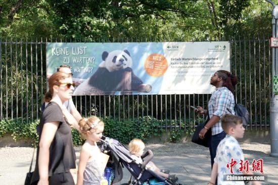 为增<em>受孕</em>几率 柏林动物园为大熊猫实施人工授精 - 德国频道 - 海外...