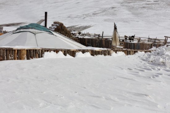 蒙古国牧区雪灾持续加重 牲畜损失超200万头只