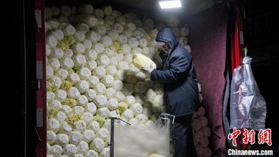 山东各地抓好冬季蔬菜生产 保障“菜篮子”供应