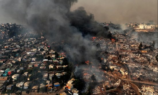 智利林火终被扑灭 起火原因仍在调查