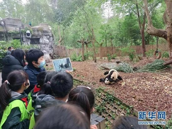 TA让熊猫、<em>恐龙</em>……做“导师”，被新华网点名了