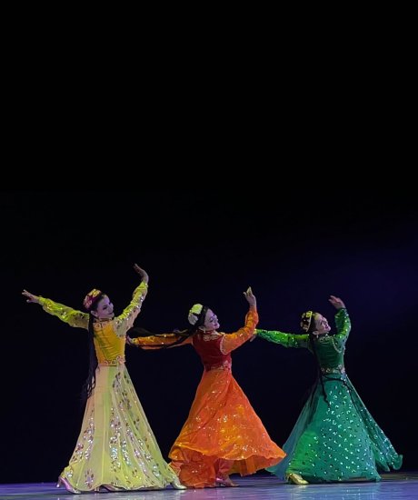 首届新疆文化艺术节舞蹈<em>专业比赛</em>举行总决赛