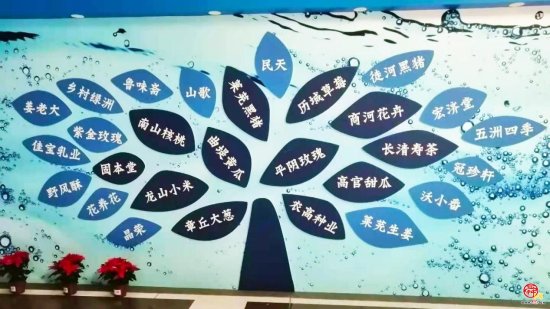 <em>视频集锦</em>“泉水人家”影像展 回首济南品牌农产这一年