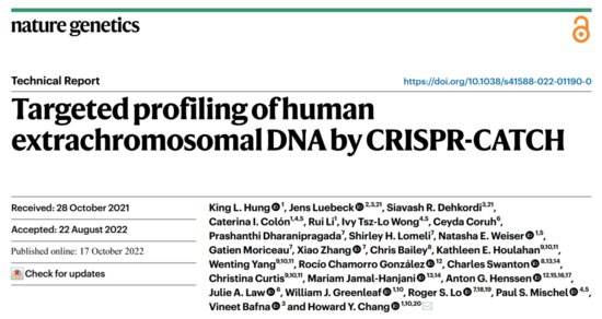 张元豪团队使用CRISPR-CATCH技术，实现对ecDNA的靶向分析