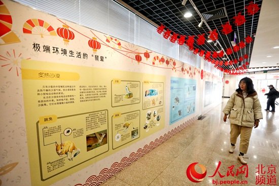 北京动物园<em>鼠年</em>生肖文化活动开幕 首推限量款<em>鼠年</em>生肖纪念联票