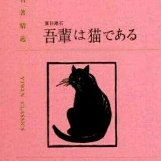 《<em>我是猫</em>》夏目漱石<em>读后感</em>300字精选三篇