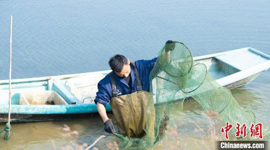 （乡村行·看振兴）江西共青城：舌尖上的小龙虾 吃出千万大产业