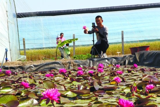 连云港：用足水优势 做好农业经济“水文章”