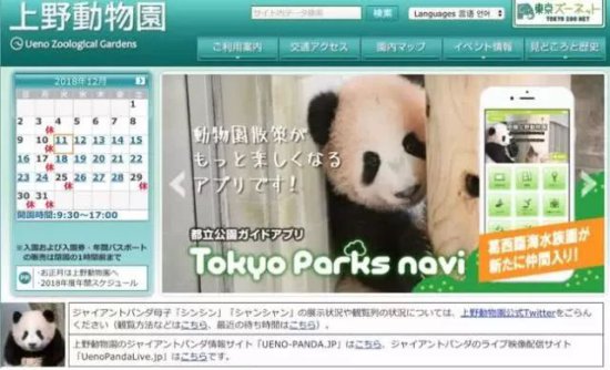 “<em>香香</em>”回国日本人含泪不舍，日本民众究竟有多爱大熊猫？