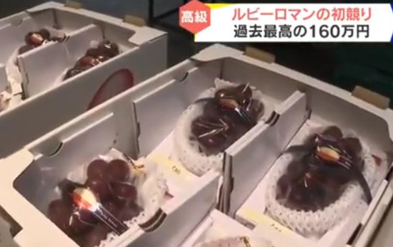 日本“天价水果”再次刷新记录<em> 一串葡萄</em>拍出160万日元高价