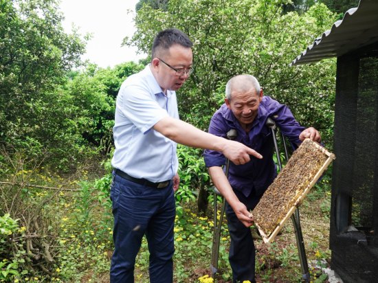 重庆铜梁：助力残疾人发展蜜蜂养殖业 用“蜜”酿出新生活