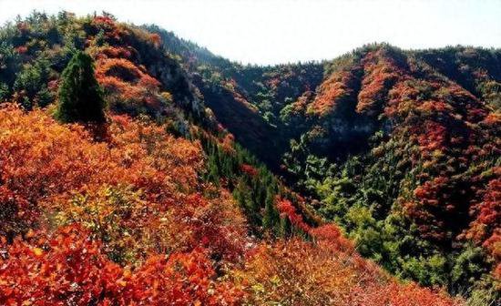 十月，来青州，寻找色彩斑斓的<em>秋天</em>