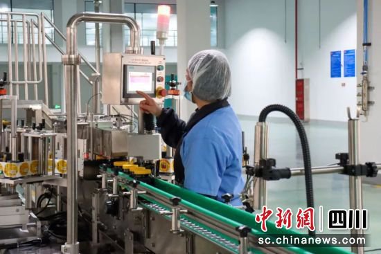 郫都区中国川菜产业城：加速形成新质生产力