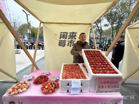 小<em>草莓</em>成就百亿大<em>品牌</em> 第二十一届长丰<em>草莓</em>文化旅游节开幕