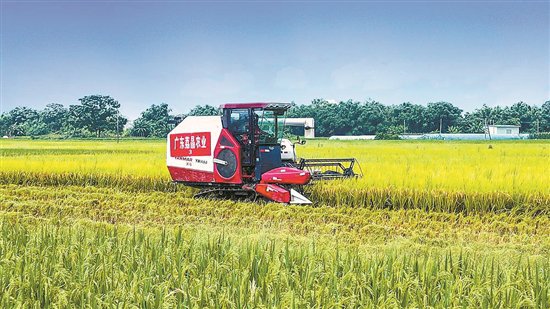 “无人农场”种水稻产值超13亿元