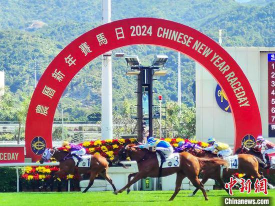 （新春见闻）香港新春“马照跑”