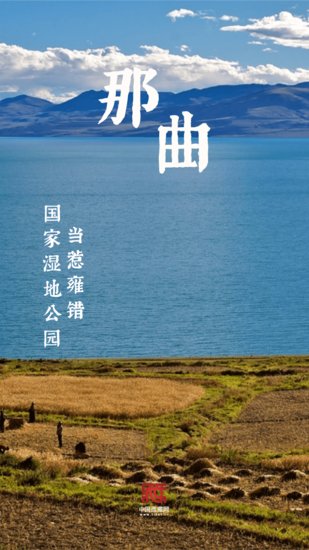 海报｜西藏的湿地有多美？