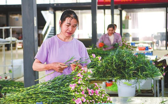 玉溪：花卉产业促发展