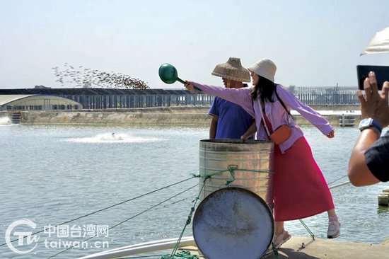 两岸媒体人走进广西示范性渔业台企 探寻桂台农业交流新渠道