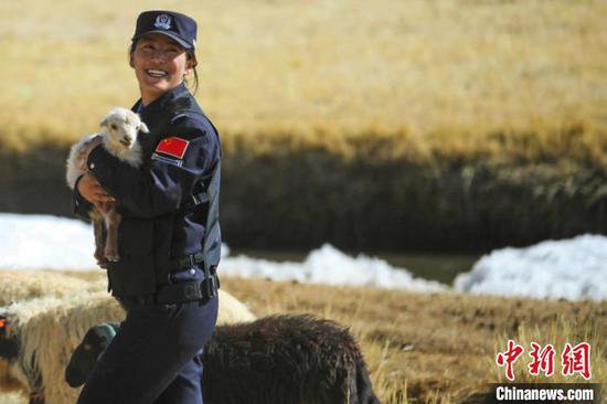 西藏阿里移民管理警察化身“牧羊人” 护航牧民转场