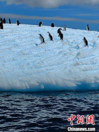 中国第40次南极科学考察队队员讲述“大美南极”
