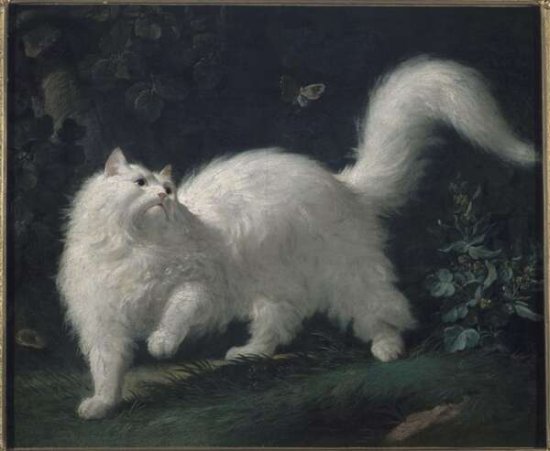 寻猫启示｜在18世纪，<em>哲学</em>家们纷纷开始思考“猫生”