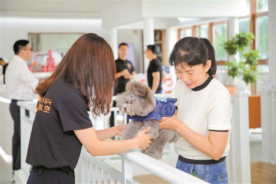 全国首家宠物候机厅在<em>深圳</em>机场启用