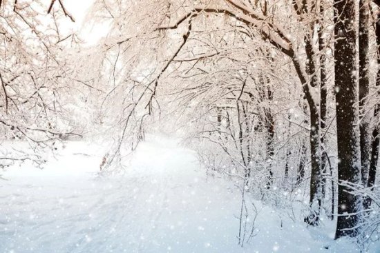 可打印丨今日大雪，16个<em>成语</em>，带你记住16句关于<em>冬天的</em>古诗！